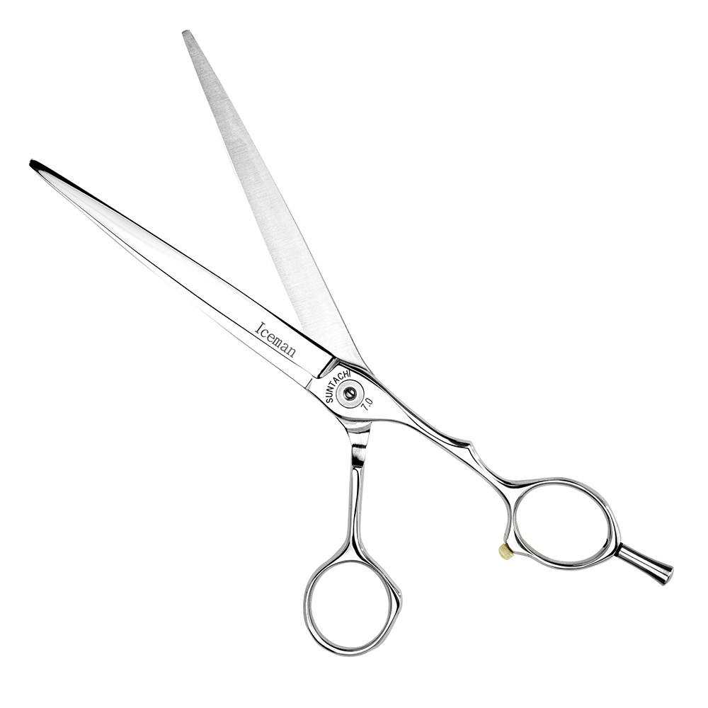 Stainless Steel Professional Hairdresser Scissors, Sketch Style