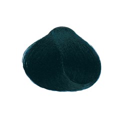 Echos Line Color Hair Colour 1.10 Ash Blue Black Sample Colour