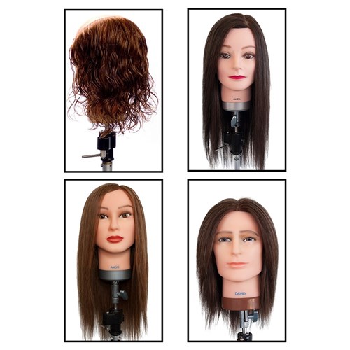 CITSA Mannequin Semester 3 and 4 Kit