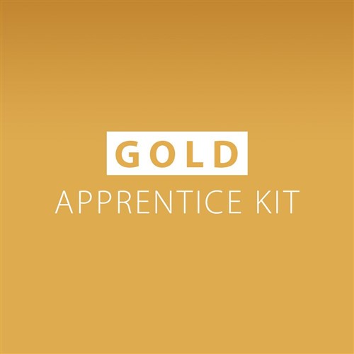 Dateline Professional Apprentice Hairdressing Kit Gold