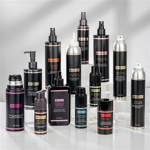 12R THE ABSOLUTE LEAVEIN SPRAY CONDITIONING SPRAY LEAVE IN 12 REASONS