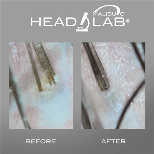 Malibu C Head Lab Intro Kit